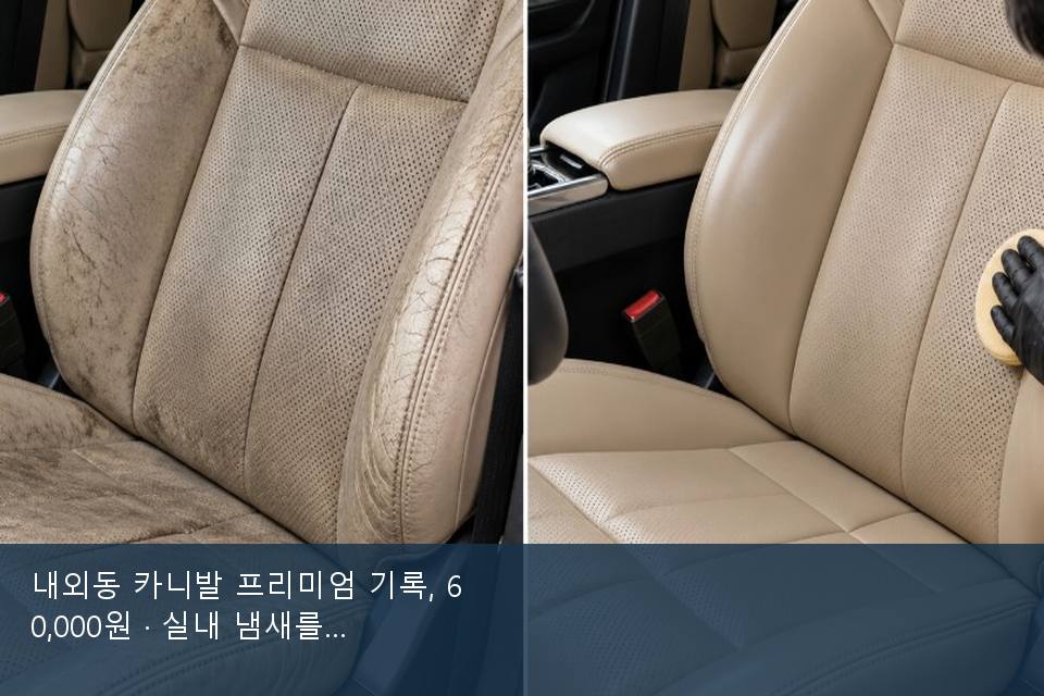 내외동 카니발 프리미엄 기록, 60,000원 · 실내 냄새를 연 기록